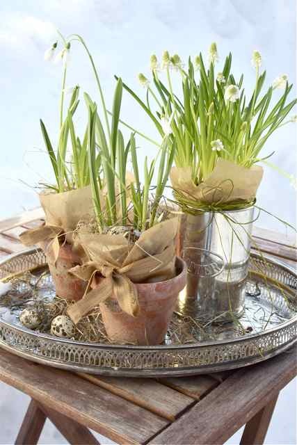 terracotta and tin can planters with white snowdrops and twigs looks chic, simple and nonchalant, ideal for a rustic space