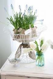 a wire stand with blue hyacinths in burlap is a cool spring decoration or a tall centerpiece to rock