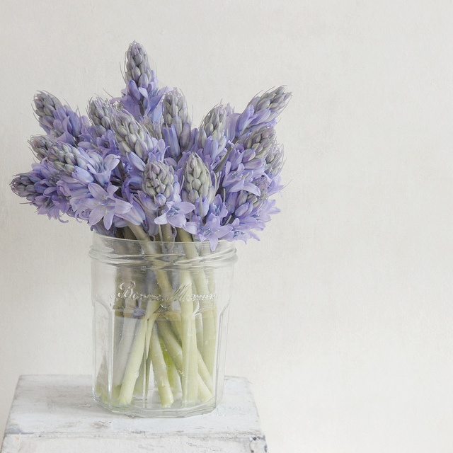 a clear jar with fresh purple blooms is a timeless idea for a rustic or just relaxed space