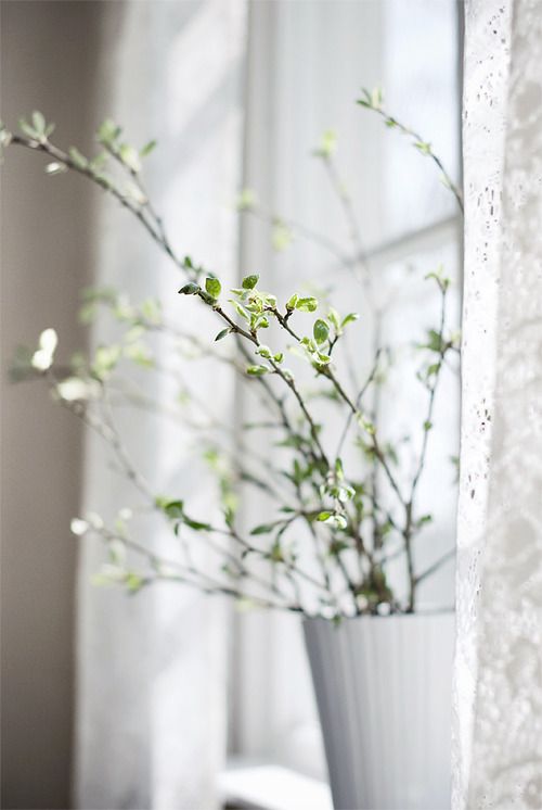 a tin planter with green and blooming branches is a pretty and cool spring decoration to rock