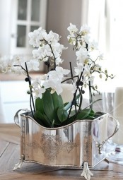 a vintage silver pan with white orchids is a fresh spring decoration or centerpiece for a very refined interior