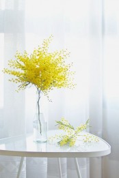 a bottle with mimosa is a fresh spring decor idea that will bring a touch of color to your space