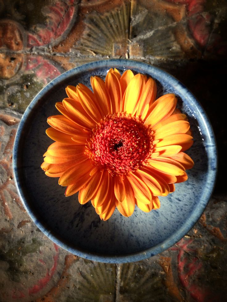 Flowers In A Bowl Ideas