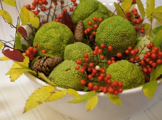 a cozy rustic Thanksgiving centerpiece of a bowl, leaves, berries and moss balls is bold and catchy