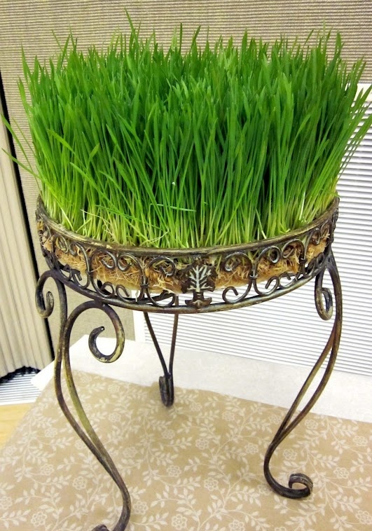 a refined forged stand with wheatgrass is a bold spring statement for any outdoor space