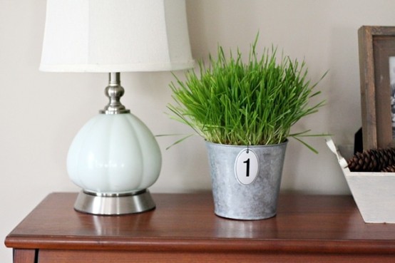 a vintage bucket with wheatgrass and a tag is a lovely spring decoration with a slight vintage feel