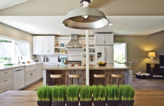 fresh wheatgrass in pots can be lined up on a table to make the space feel fresh, spring-like and cheerful