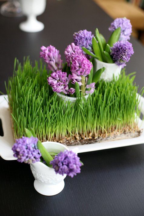 a tray with wheatgrass, with purple and pink blooms in vases is a lovely and vivacious spring centerpiece or decoration