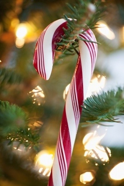 candy canes can be used as Christmas ornaments and they will look all-natural and very traditional, fun and cool