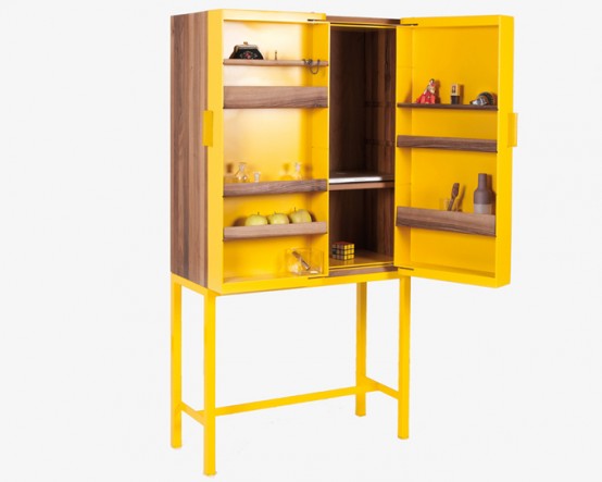 Functional Cabinet To Display Or Hide Things