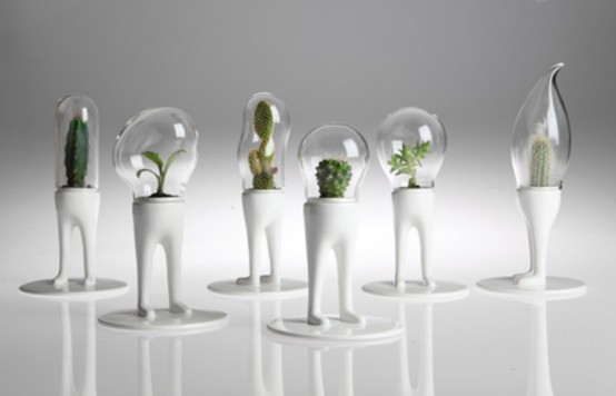 Funky Planters For Cactuses With Domes