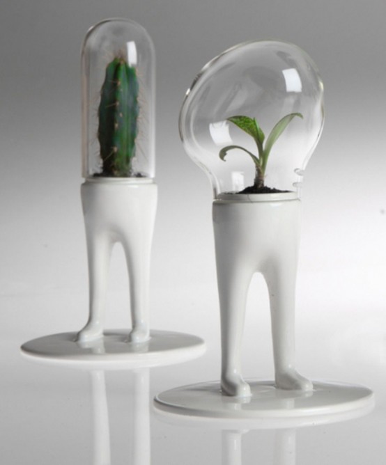 Funky Planters For Cactuses With Domes