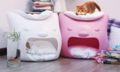 Funny Cat Bed And Stool In One