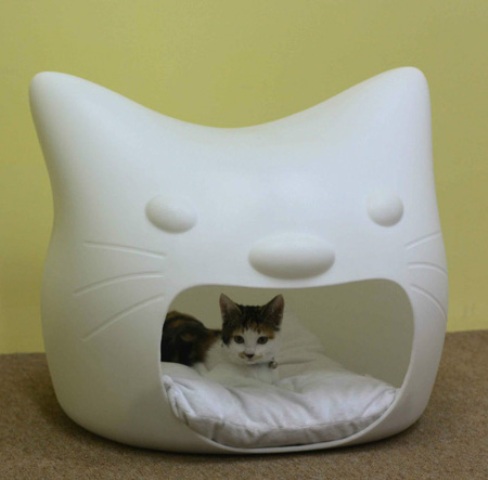 Funny Cat Bed And Stool In One