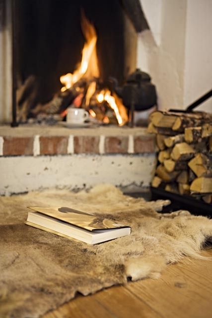 Fur Home Decor Ideas For Cold Seasons