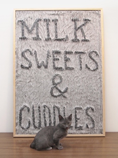 Fur Message Board