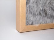 Fur Message Board