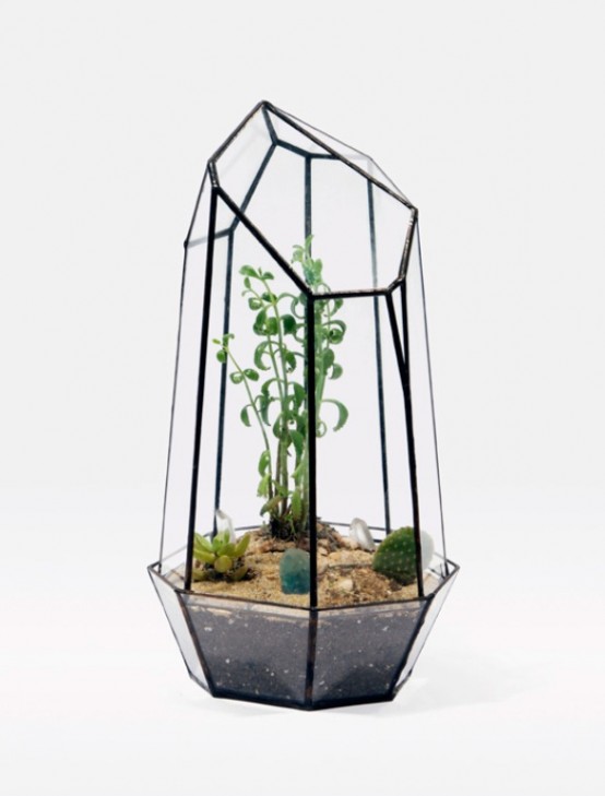 Glass Terrariums To Grow Green Plants