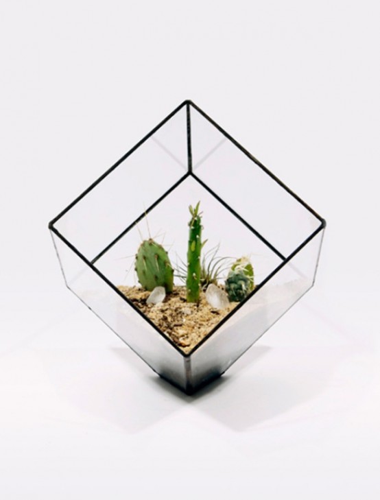 Glass Terrariums To Grow Green Plants