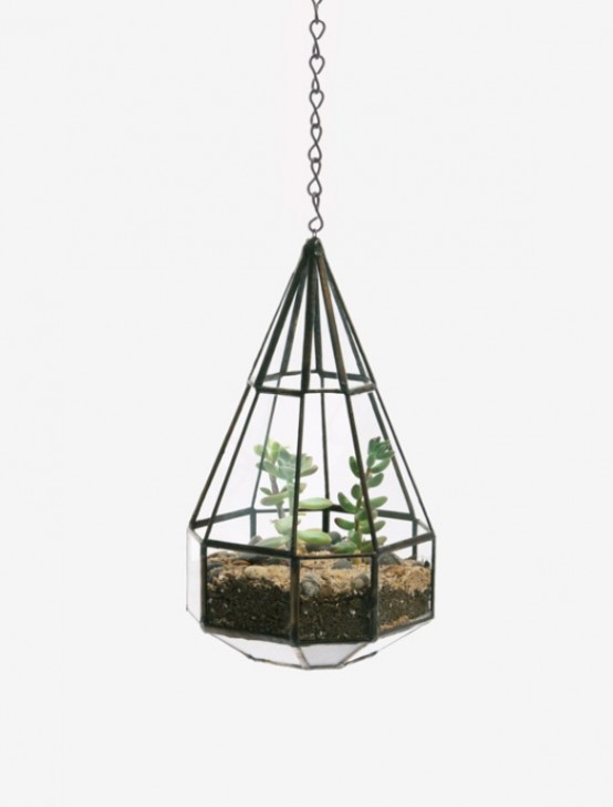 Glass Terrariums To Grow Green Plants