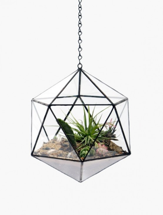 Glass Terrariums To Grow Green Plants