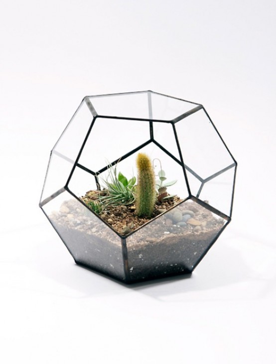 Glass Terrariums To Grow Green Plants
