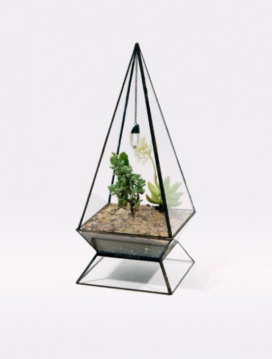 Glass Terrariums To Grow Green Plants