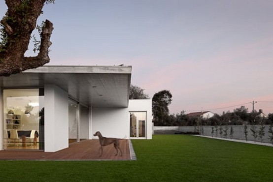 Gorgeous Minimalist House With A Light Interior
