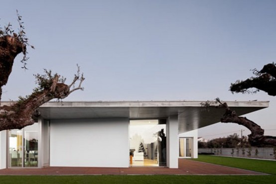 Gorgeous Minimalist House With A Light Interior