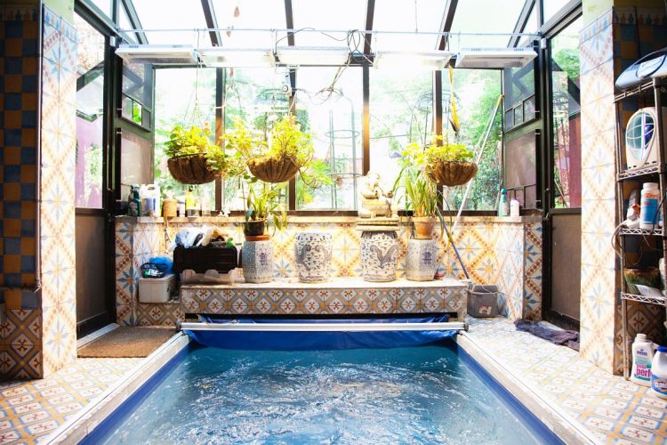 gorgeous tiles and gorgeos vases make the interior of this indoor sunroom pool trully awesome