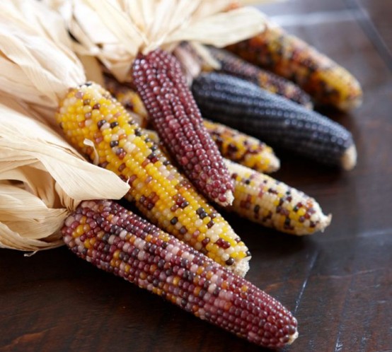 corn cobs with husks are always a good idea for Thanksgiving, they can be hung outdoors instead of a usual wreath