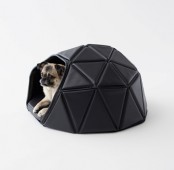 Head Or Tails Collection For Your Dog By Nendo