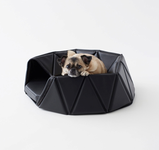 Head Or Tails Collection For Your Dog By Nendo