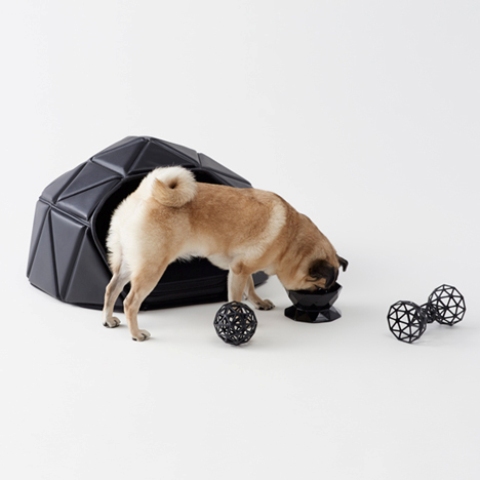 Head Or Tails Collection For Your Dog By Nendo