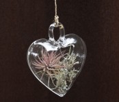 Heart Shaped Ornaments With Living Plants