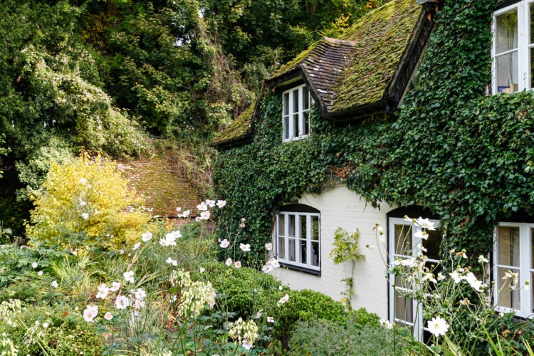 Historical English Cottage With A Cantilevered Glazed Extension