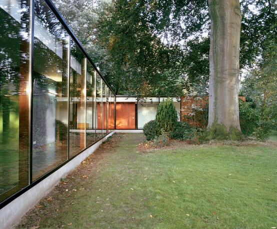 House With Glass Front and Very Old Beech Tree On The Site
