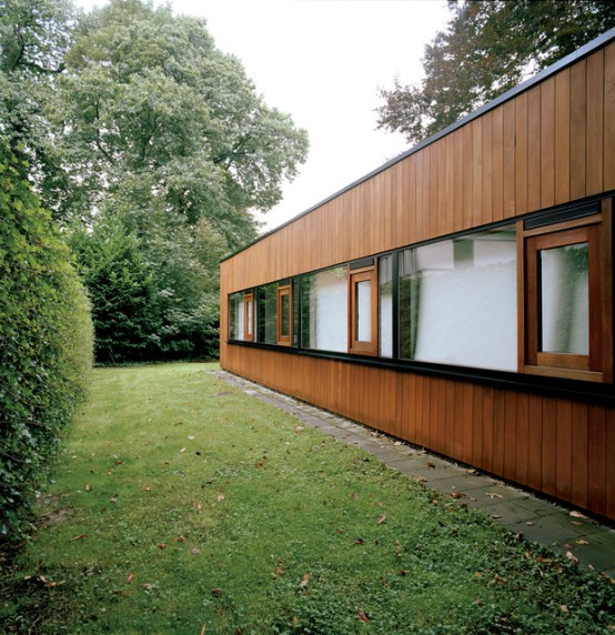 House With Large Glazing And Very Old Pine Tree On Site