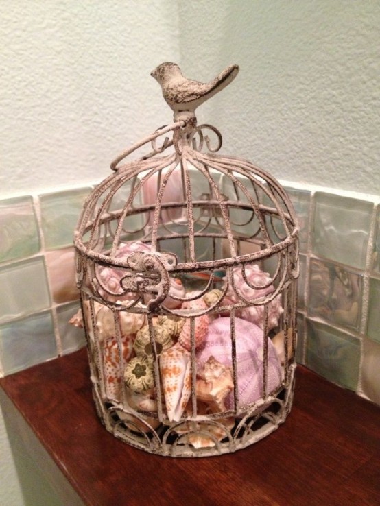 a shabby chic vintage cage with lots seashells inside to give a coastal feel to a vintage space