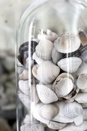 a cloche with natural seashells is a nice decoration or centerpiece for any space, it feels and looks very modern