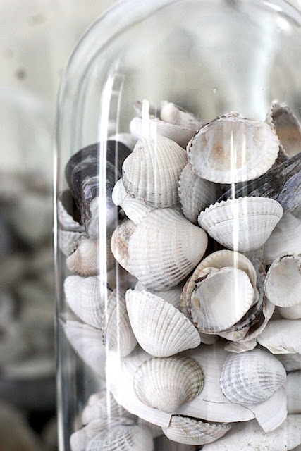 How To Decorate With Shells