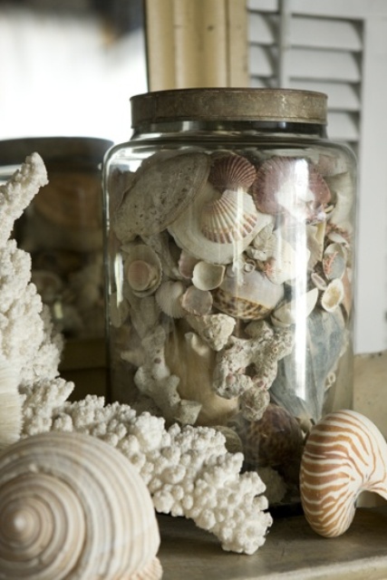 How To Decorate With Shells