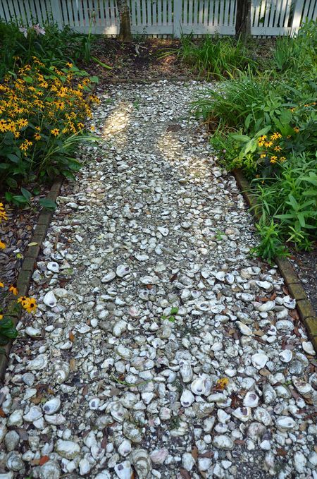 a gardne path covered with seashells will make your garden feel coastal and beachy, and this is all natural