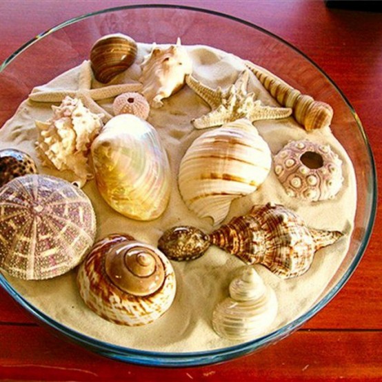 a large round bowl with beach sand and sea urchins and seashells is a cool centerpiece or decoration