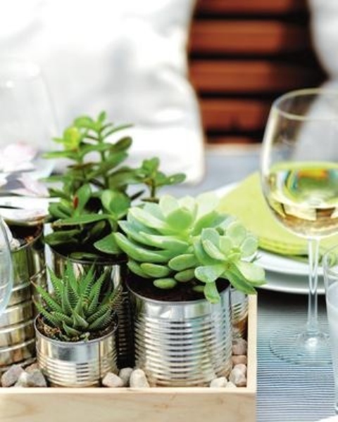 a tray with pebbles and succulents in tin cans is a very stylish decoration with a rustic and industrial feel, can be used as a centerpiece