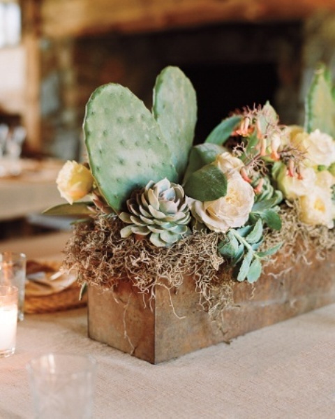 10 Super Fun Ways to Create a Succulent Display In Your Home!