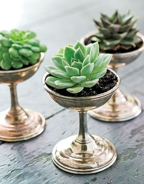 tall metallic bowls with succulents are cute decorations to go for and they can be used for adding a refined touch to the space