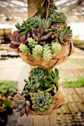 suspended baskets with succulents and greenery look stylish, chic and add a rustic feel to the space