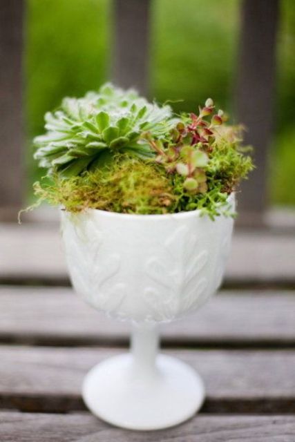 a white textural and patterned bowl with moss and succulents is a stylish decoration to rock at home