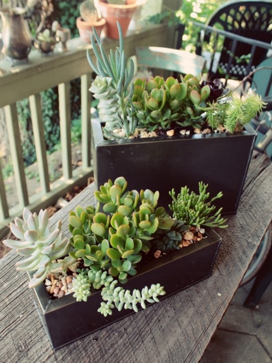 stylish black metal planters with pebbles, succulents and greenery are very elegant and modern, can be used both indoors and outdoors